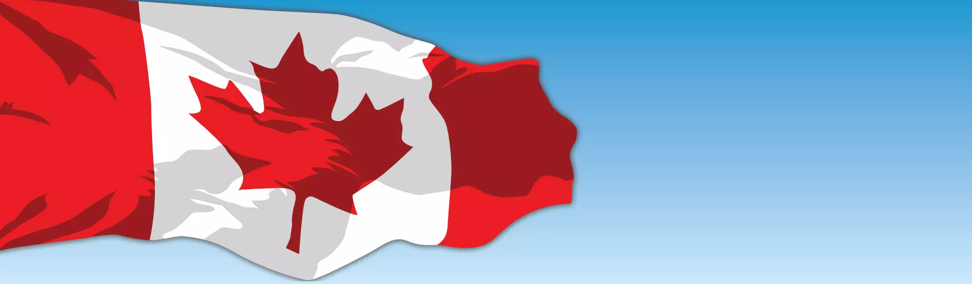 flag_banner2